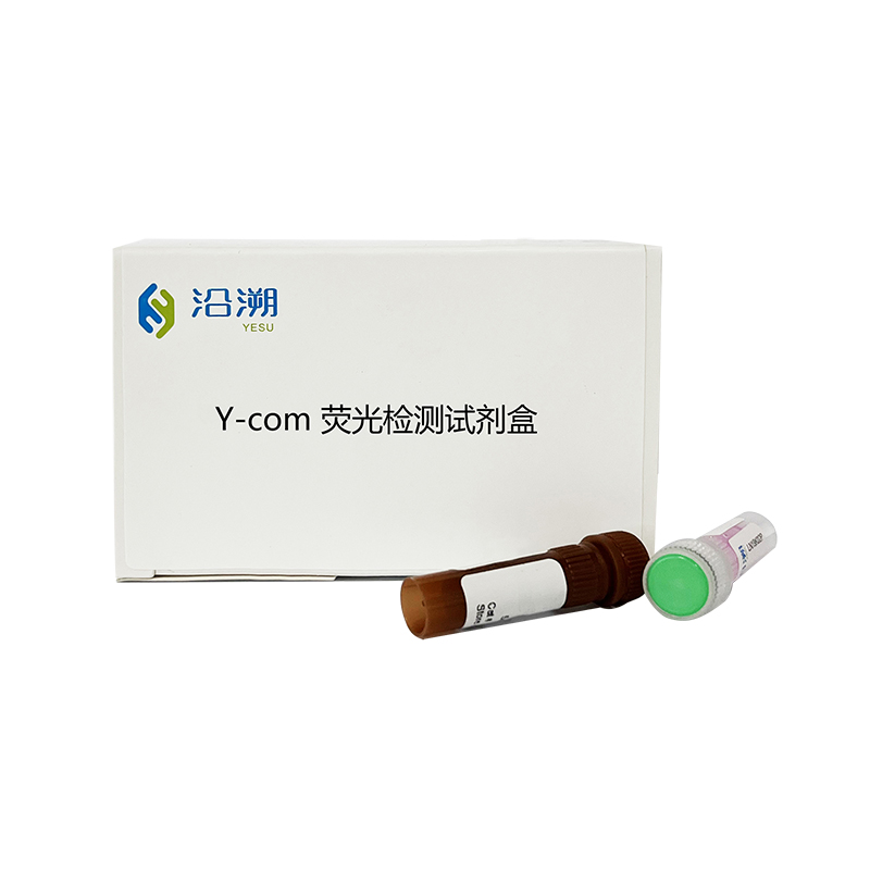 Y-com熒光檢測(cè)試劑盒
